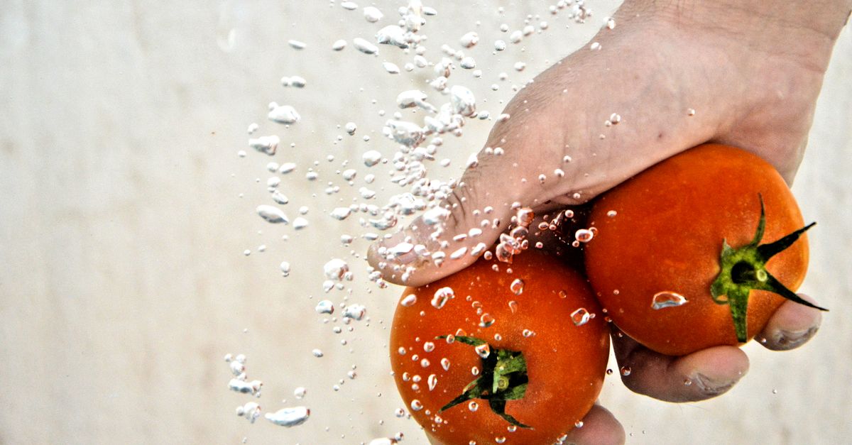 Zeytin yıkama makinesi
